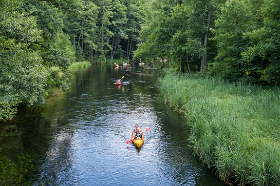 Kayaking Krutynia - Krutyń to Ukta